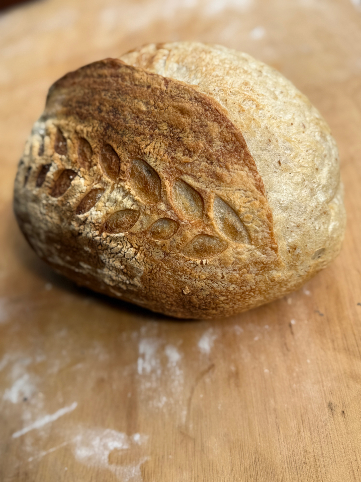 Sourdough Bread, 1