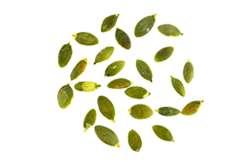 bread_transparent_04 https://www.camiloalbarracin.com/wp-content/uploads/2017/07/bread_transparent_04.png