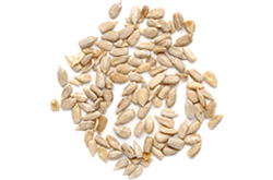bread_transparent_06 https://www.camiloalbarracin.com/wp-content/uploads/2017/07/bread_transparent_06.png