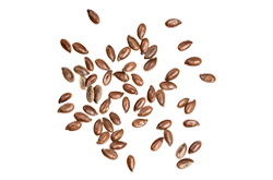 bread_transparent_07 https://www.camiloalbarracin.com/wp-content/uploads/2017/07/bread_transparent_07.png