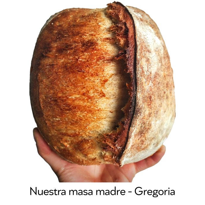 https://www.camiloalbarracin.com/wp-content/uploads/2023/04/8-Gregoria.png